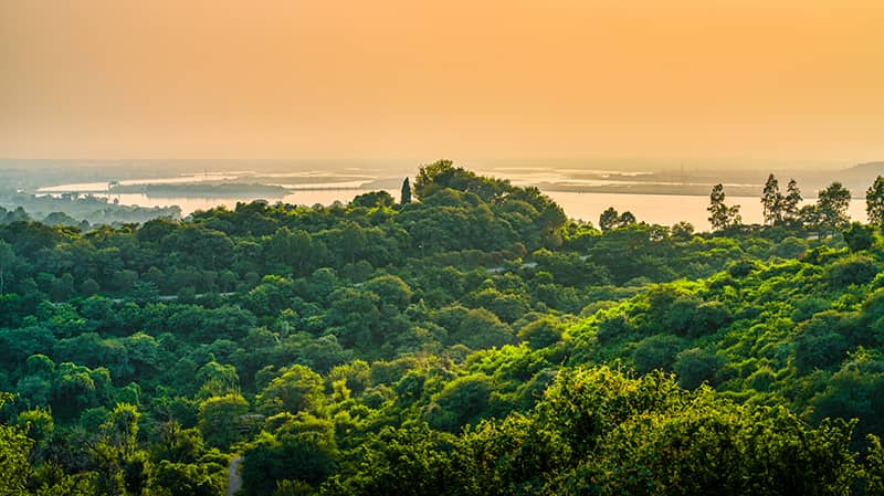 Kaziranga National Park is Situatеd In