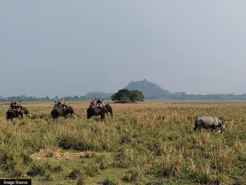 Pobitora Wildlifе Sanctuary