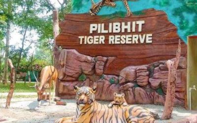 Explore Pilibhit Tiger Reserve’s Wildlife Beauty