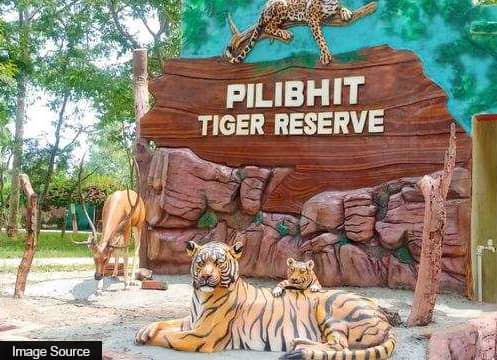 Pilibhit Tiger Reserve - Jungletic